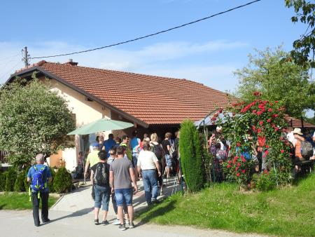 12. pohod Pomlad v prleških goricah Dan odprtih kleti in veselih ljudi, 28.5.2016 104